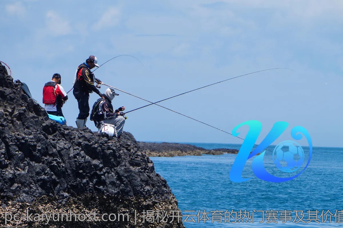 揭秘开云体育的热门赛事及其价值