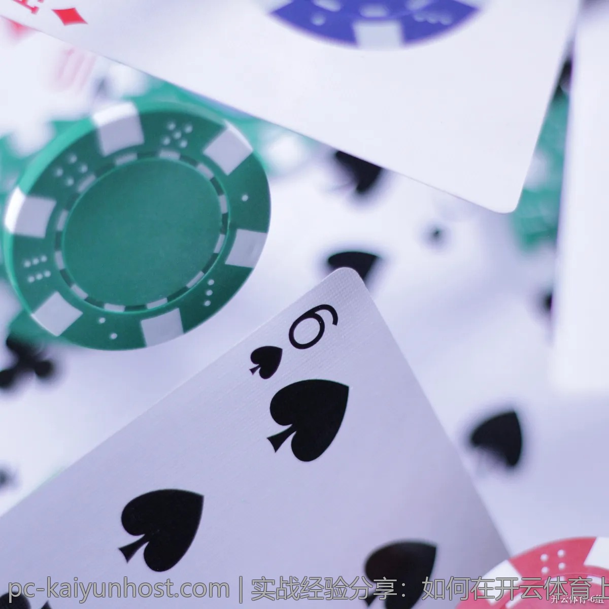 实战经验分享：如何在开云体育上获取更多乐趣？
