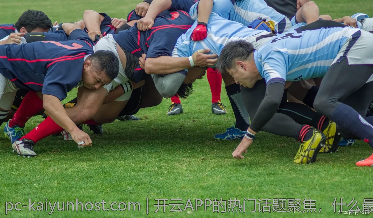 开云APP的热门话题聚焦，什么最受关注？