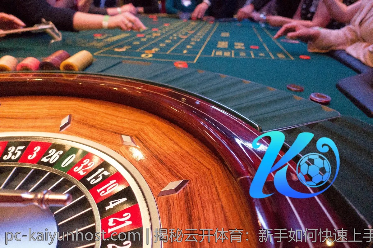 揭秘云开体育：新手如何快速上手的经验分享